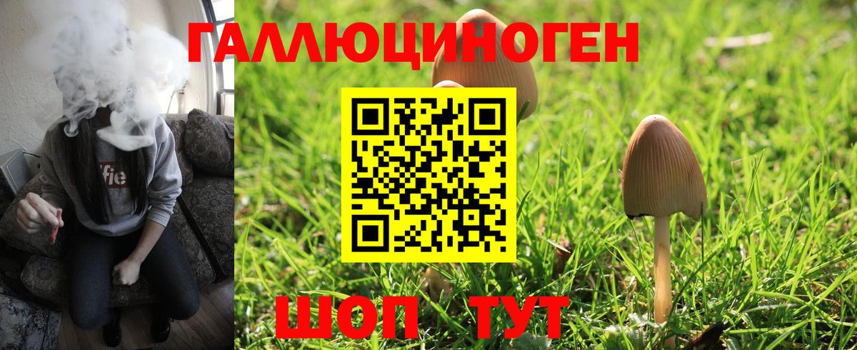 Галлюциногенные грибы MAGIC MUSHROOMS Саратов