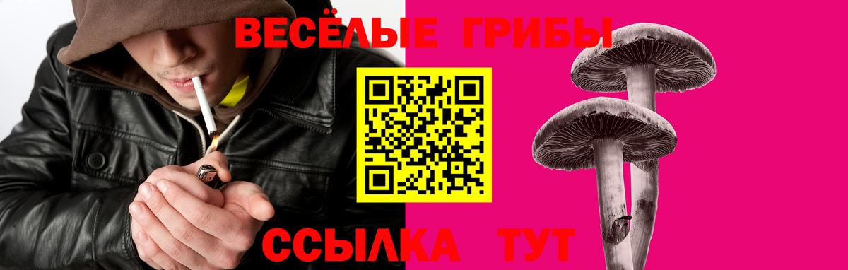 Галлюциногенные грибы мицелий  Вход с VPN  Псилоцибиновые грибы Magic Shrooms  Саратов 